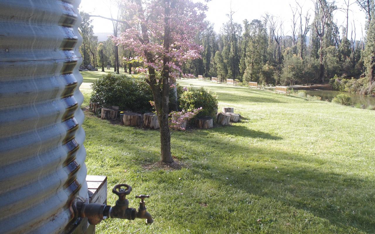 Saladin Lodge Narbethong Екстер'єр фото